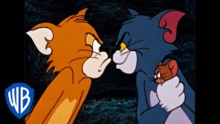 Tom & Jerry Em Português Brasil Desenho Animado Clássico 32 Wb Kids