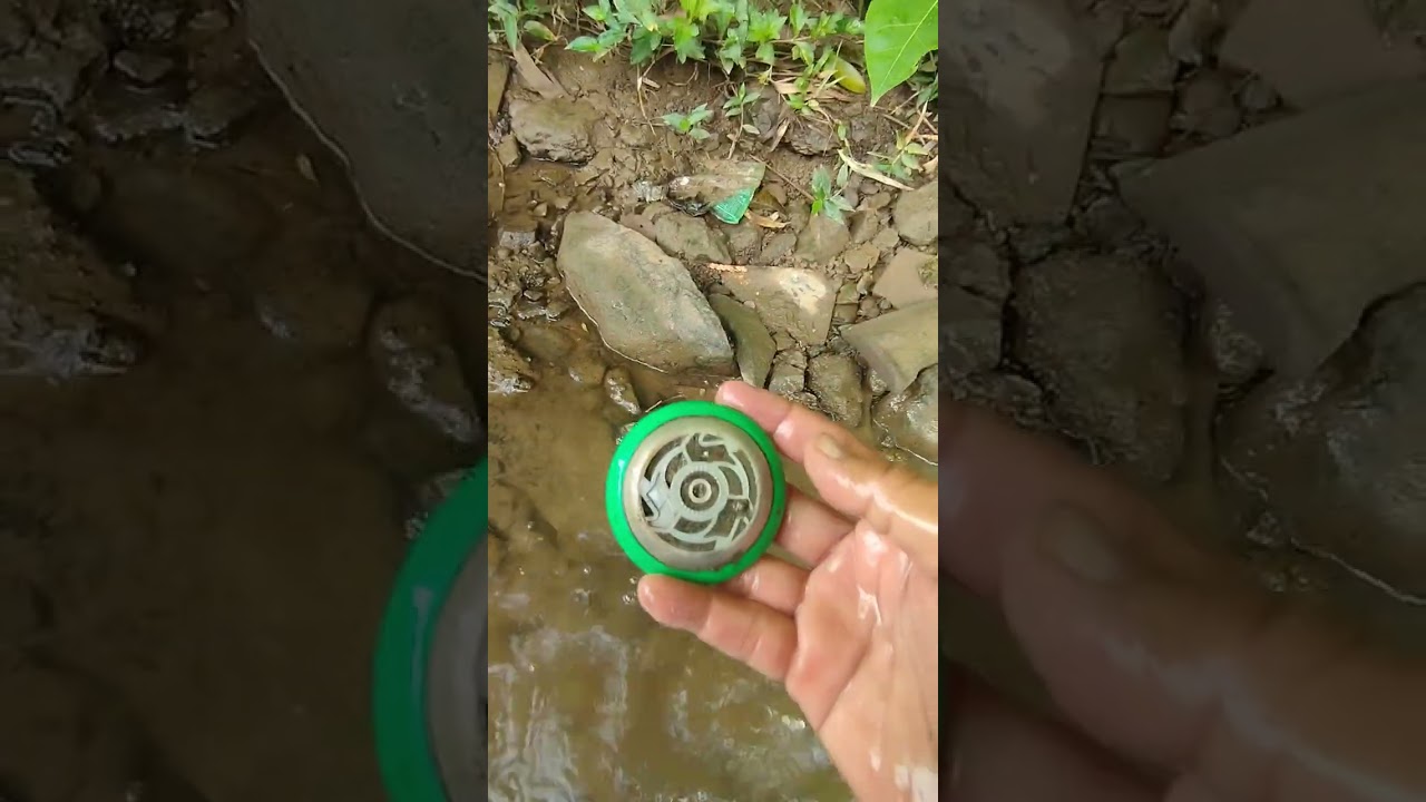 YUYU,YOYO,KODOK BESI  