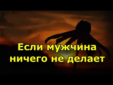 Если мужчина ничего не делает для женщины?