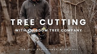 Safe & Skilled Tree Removal | Full Job Breakdown