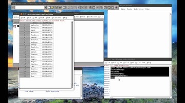 3.7 Handling Dates in SAS (linux)