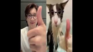 Download lagu My Cutiee Baby Wonwonie😍 #wonwoo #saythename_17 #seventeen #fyp #shorts #svtedit #carat #svtcarat