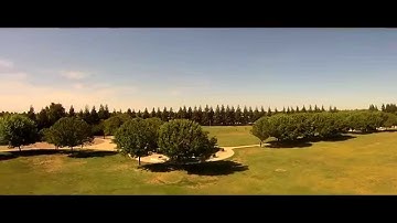 Blade 350 QX3 CGO2 Camera demonstration at Park