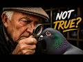 Old Timer Pigeon Myths (And Why They Fail Today)