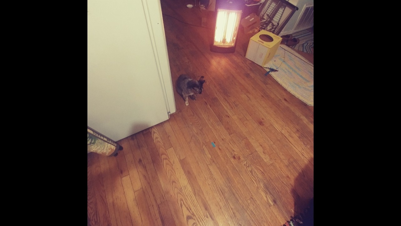 the worst photographer in the world