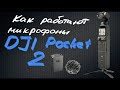 Как работают микрофоны DJI Pocket 2