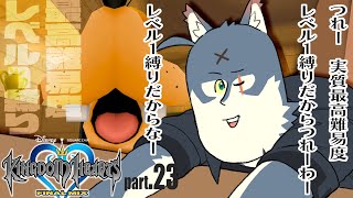 最弱の俺でも君を救えたら：２３【キングダムハーツHD1.5+2.5リミックス】