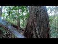 【獣道の歩き方】№9/Animal Trail Cam Video