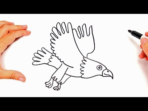 Cómo dibujar un