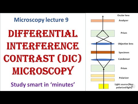 DIC microscope | working principle | Advantages, disadvantages | Microscopy lecture 9