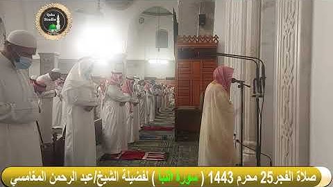 صلاة الفجر# الخميس 25-1- 1443# سورة النبأ# لفضيلة الشيخ/ عبد الرحمن المغامسي - حفظه الله