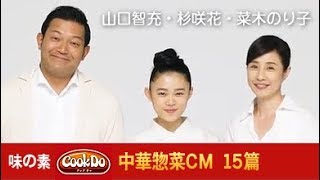 味の素 CookDo 中華惣菜CM 15篇