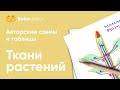 Ткани растений: разбор заданий | БИОЛОГИЯ ЕГЭ | Лина Клевер