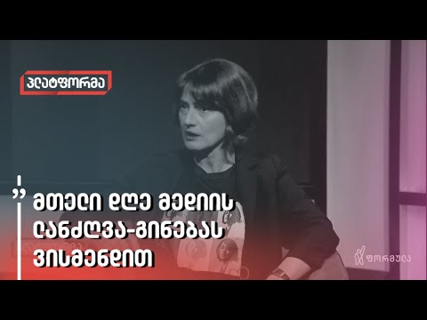 „მოსახლეობის დამშვიდების ნაცვლად, მთელი დღე მედიის ლანძღვა-გინებას ვისმენდით,” - ნინია კაკაბაძე