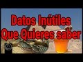 8 Datos Inútiles Que Te Interesaran Saber | Arcan Channel