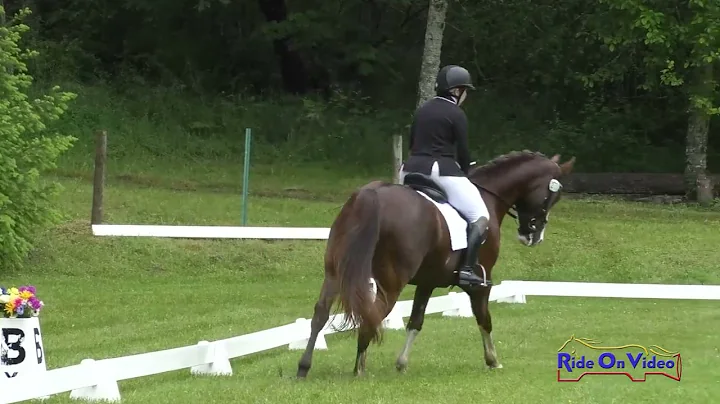 271D Kendall Pugh on Rafiki Beginner Novice AM Dre...