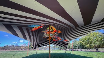 DTS  |  Tent Inner Linings