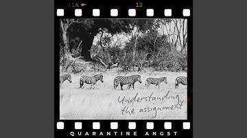 Understanding the Assignment