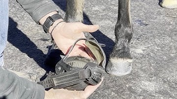 Easyboot Glove 50 Application