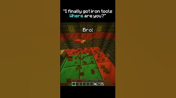 Bro Is A Maniac 💀 #speedrun #minecraft