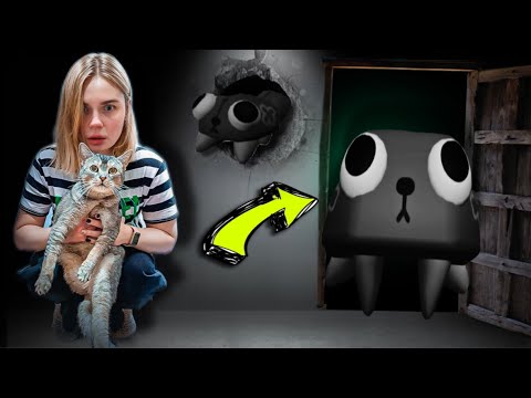 Пеббл в реальной жизни | Кошачья история ужасов