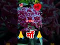 तिन लईन माँ के लिए. Tin lin ma ke liye. #viralvideo #video #love #maa #Matj #maka_peyar #reels #rap
