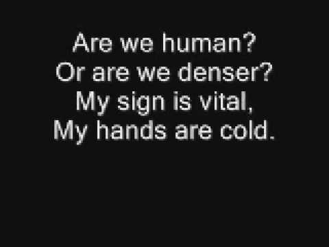 The Killers - Human