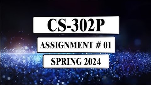 CS302P Assignment 1 || Spring 2024