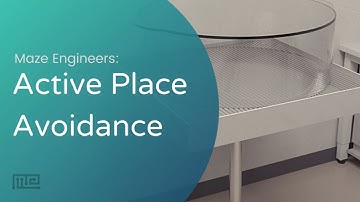 Maze Engineers: Active Place Avoidance Chamber