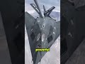 Why does the F 117 Nighthawk look like a low resolution video game