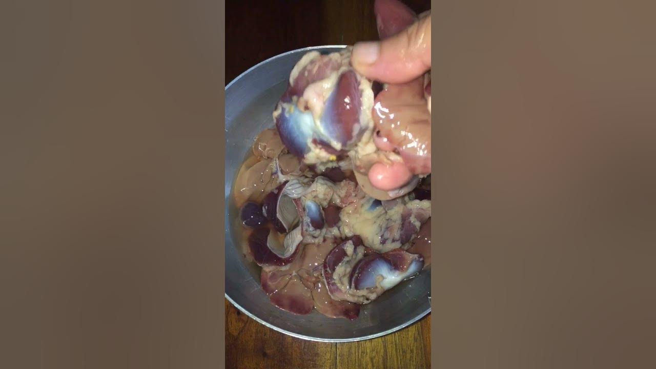 Cara memasak jeroan ayam #bismillah #masak #goreng #youtubeshort #shorts #alhamdulillah