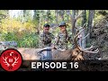 Jessi's First Elk: Bowhunting with Pink Arrows! (Destination Elk V2: Episode 16)