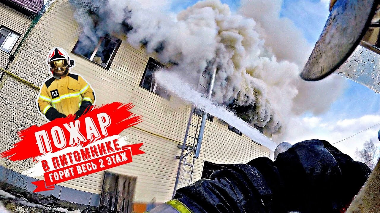 Как пожарить машину