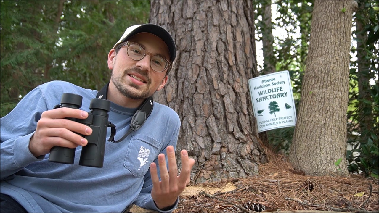 Exploring Tapestry, an Atlanta Audubon certified wildlife sanctuary