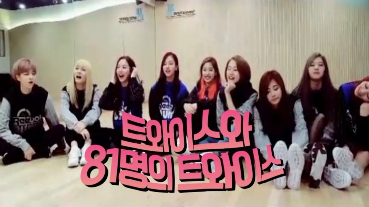 [트와이스하세요] 트와이스와 81명의 트와이스