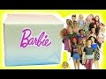 Biggest Haul Giant Box of Cool Barbie Dolls Tall, Petite, Curvy, Ken Fashionistas