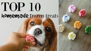 TOP 10 HOMEMADE FROZEN TREATS FOR DOGS