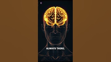 Can Your Brain Trick You Into Fake Memories? #facts #science #brain