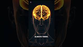 Can Your Brain Trick You Into Fake Memories? #facts #science #brain