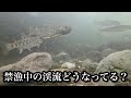 【禁漁中の渓流散歩】禁漁後の川の中撮影してみた【水中映像】