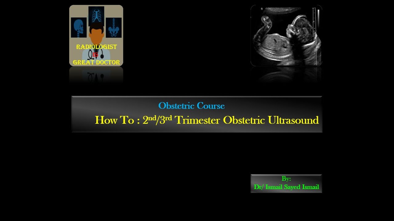 How to Obstetric Ultrasound (Hands-on) -Dr.Ismail Sayed Ismail