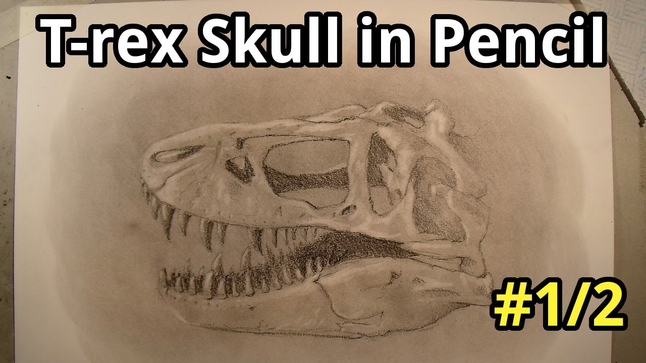 Drawing A T Rex Skull In Pencil Part 1 Of 2 Youtube