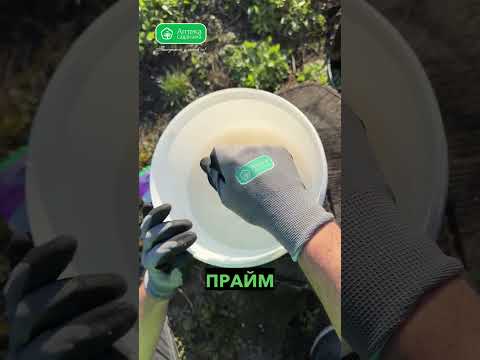 Обробка саду в