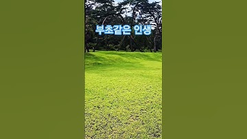 Thumbnail of 부초같은 인생-박진석 #세종대왕릉 #힐링 #추억 #여행 #트로트 #김용임 #박진석 #심동식tv