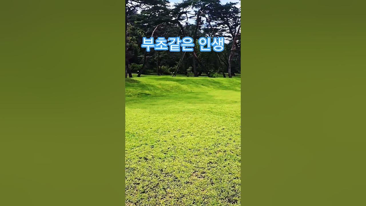 부초같은 인생-박진석 #세종대왕릉 #힐링 #추억 #여행 #트로트 #김용임 #박진석 #심동식tv