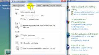 Celebrity Adjusting the mouse properties for YOU Net Worth