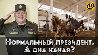 Кривоносов и обосранная корова  Лукашенко