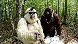 Yeti And Bigfoot Try Nose Candy