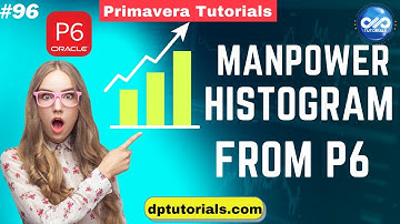 How To Make Manpower Histogram Primavera P6 To Excel