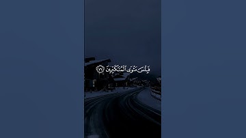 #قران_كريم #اجر_لي_ولكم #اكسبلور #سورة_غافر #عبدالله_الموسى